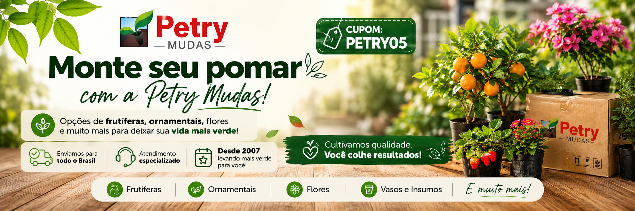 chatgpt image 3 de set de 2026 11 03 54